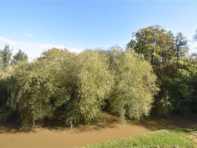 Picture 13